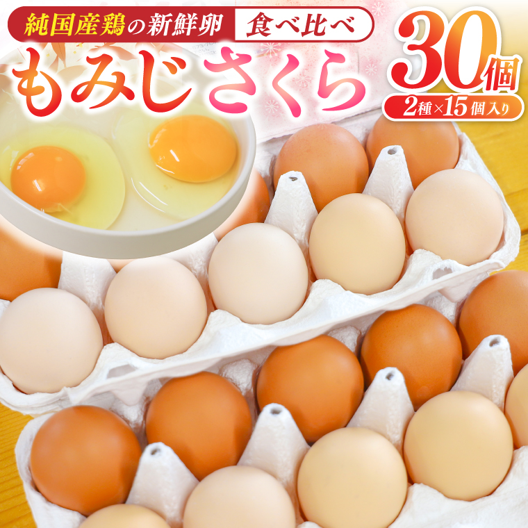 純国産鶏【さくらともみじ】純たまご30個 (破損保証5個含む) (AJ031)