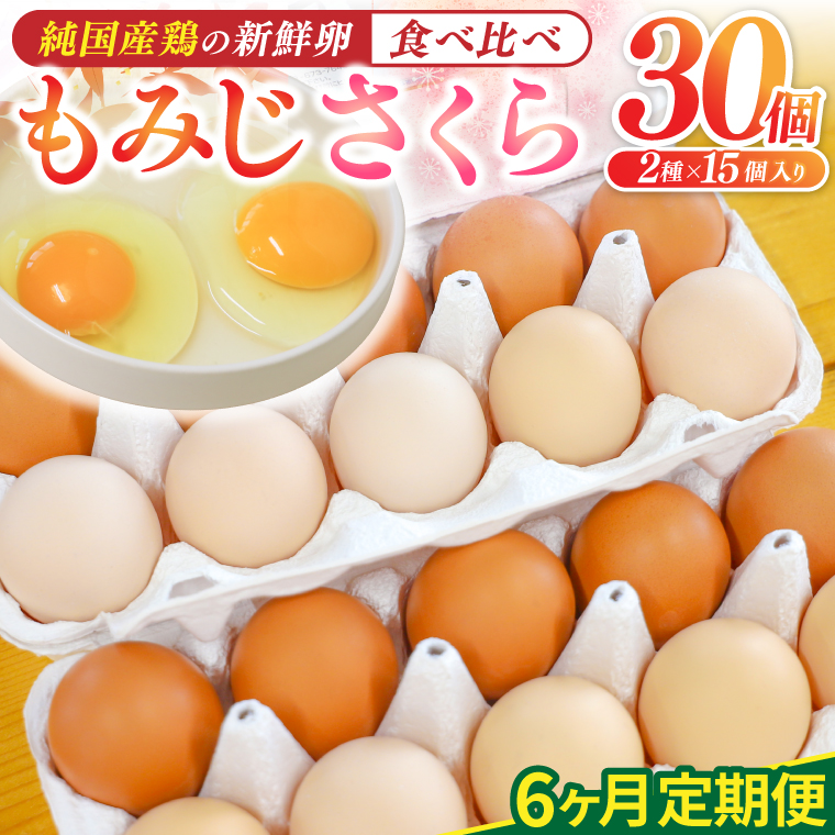 純国産鶏【さくらともみじ】純たまご30個 (破損保証5個含む)【6ヶ月連続お届け】 (AJ033)