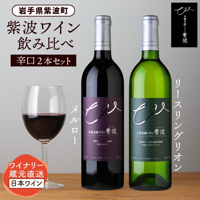 ＼贈り物・ギフトに最適／ 産地限定 ワインぶどう品種使用 自園自醸ワイン紫波 辛口ワイン2本セット ふるさと納税 紫波町産 テロワール ワイン （AL045-1）