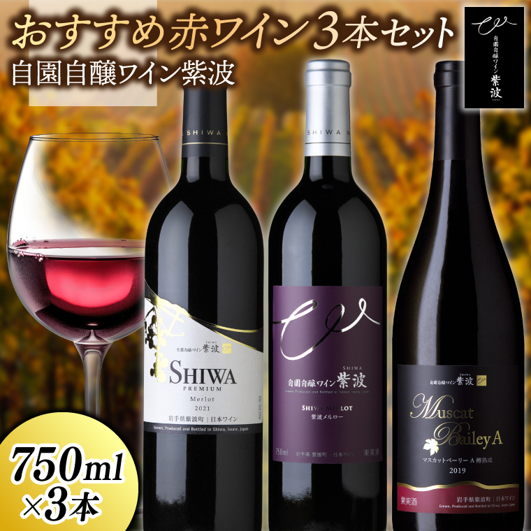 おすすめ赤ワイン３本セット【マスカットベーリーＡ樽熟成・プレミアムメルロー・メルロー】 (AL089) ワイン 辛口 赤 ブドウ 国産ワイン 自園自醸ワイン 日本ワイン 紫波町