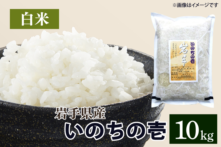 令和6年産 いのちの壱 「精米」 10kg (CA022)