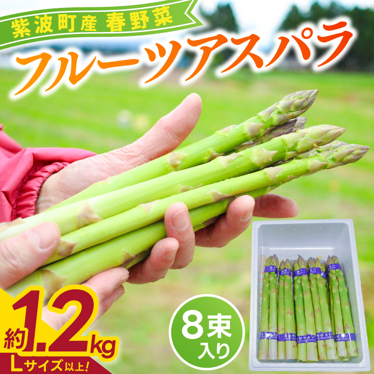 ＼先行予約・数量限定／紫波町産フルーツアスパラ ★Lサイズ以上★ 約1.2kg (150g束×8束入り) 露地栽培の野菜 木酢液防虫 新鮮野菜 生でもたべれる (CS002)