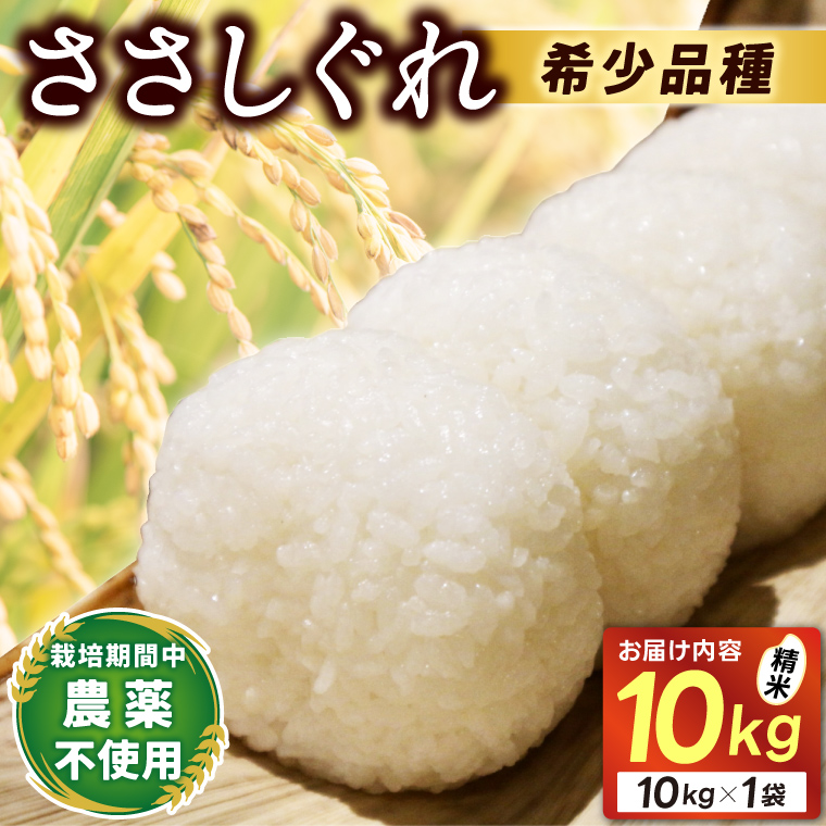 ★令和7年産★ ささしぐれ 10kg (精米) (DE007)