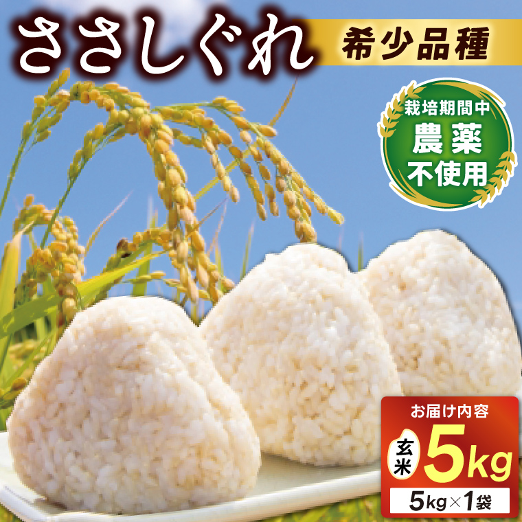 ★令和7年産★ 新米 ささしぐれ 5kg (玄米) (DE008) 玄米 5kg