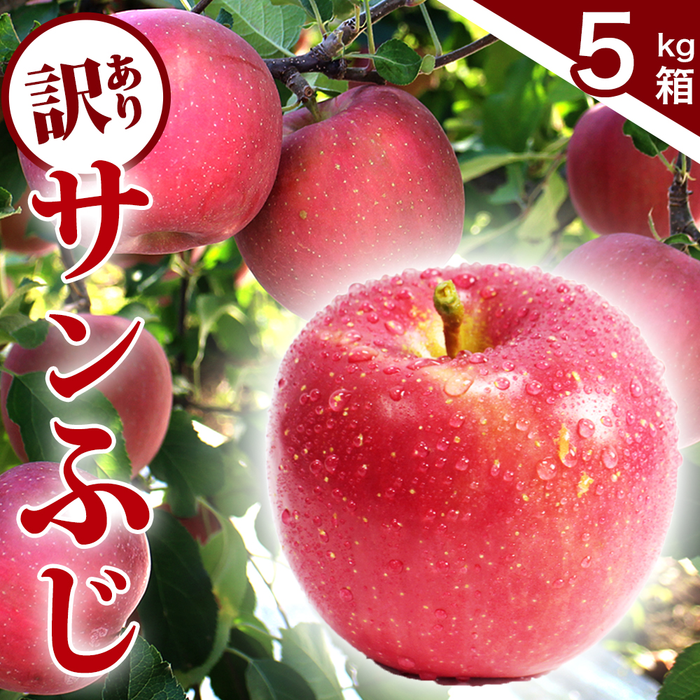 サンふじ 5kg 訳あり りんご 紫波町産 (DV054)