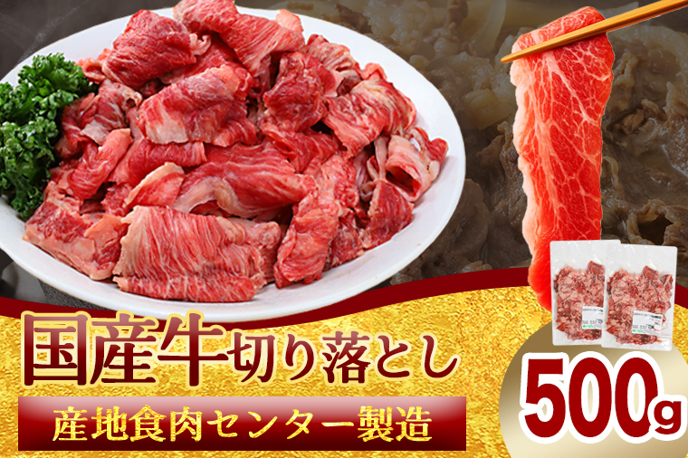 ★先行予約 2月中旬より発送★ 国産牛切り落とし500g（250g×2パック）（DV070） 500g（250g×2パック）