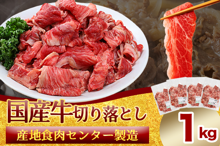 ★先行予約 2月中旬より発送★ 国産牛切り落とし1kg（250g×4パック）（DV071） 1kg（250g×4パック）