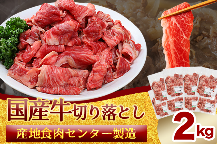  国産牛切り落とし2kg（250g×8パック）（DV072） 2kg（250g×8パック）