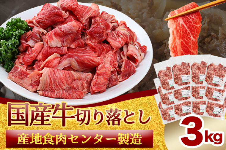  国産牛切り落とし3kg（250g×12パック）（DV073） 3kg（250g×12パック）