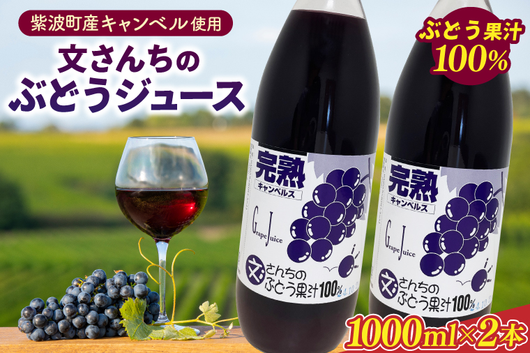 ＼自家農園育ちのぶどうを使った果汁100％ジュース／ 「文さんちの完熟ぶどうジュース 1000ml×2本 」(EH001)