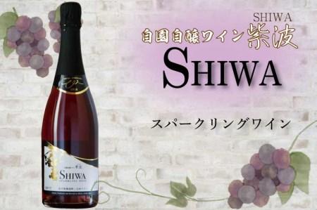 AL064-1 スパークリングワイン【自園自醸ワイン紫波】