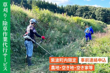 DQ001 【要事前連絡】草刈り、除草作業サービス（農地、空き地、空き家等）