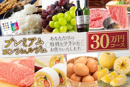 コンシェルジュ コース 紫波町 30万円 提案型 （DS000）