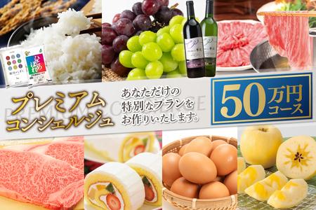 コンシェルジュ コース 紫波町 50万円 提案型 （DS001）