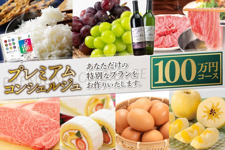 コンシェルジュ コース 紫波町 100万円 提案型（DS002）