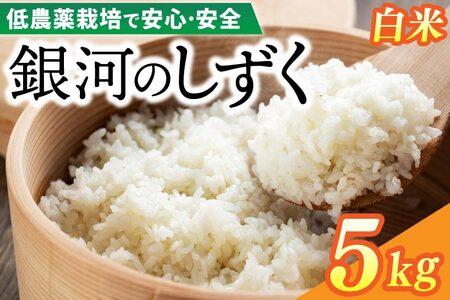 令和7年産 銀河のしずく 5kg (精米) 低農薬栽培米 生産者直送 生産地域限定ブランド米 (EI012) 白米 5kg