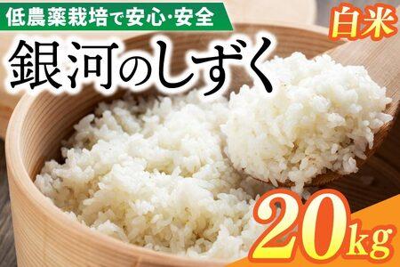 【新米】令和7年産 銀河のしずく 20kg (精米) 低農薬栽培米 生産者直送 生産地域限定ブランド米 (EI014)