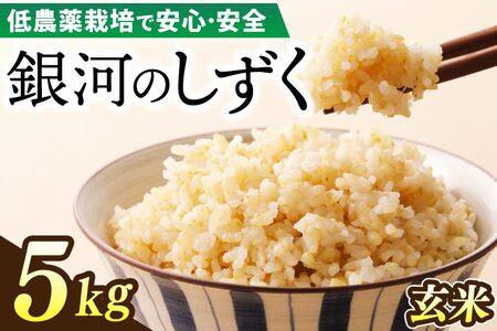 令和7年産 銀河のしずく 5kg (玄米) 低農薬栽培米 生産者直送 生産地域限定ブランド米 (EI017) 玄米 5kg