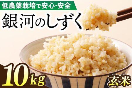 令和7年産 銀河のしずく 10kg (玄米) 低農薬栽培米 生産者直送 生産地域限定ブランド米 (EI018) 玄米 10kg