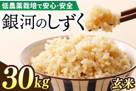 令和7年産 銀河のしずく 30kg (玄米) 低農薬栽培米 生産者直送 生産地域限定ブランド米 (EI020) 玄米 30kg