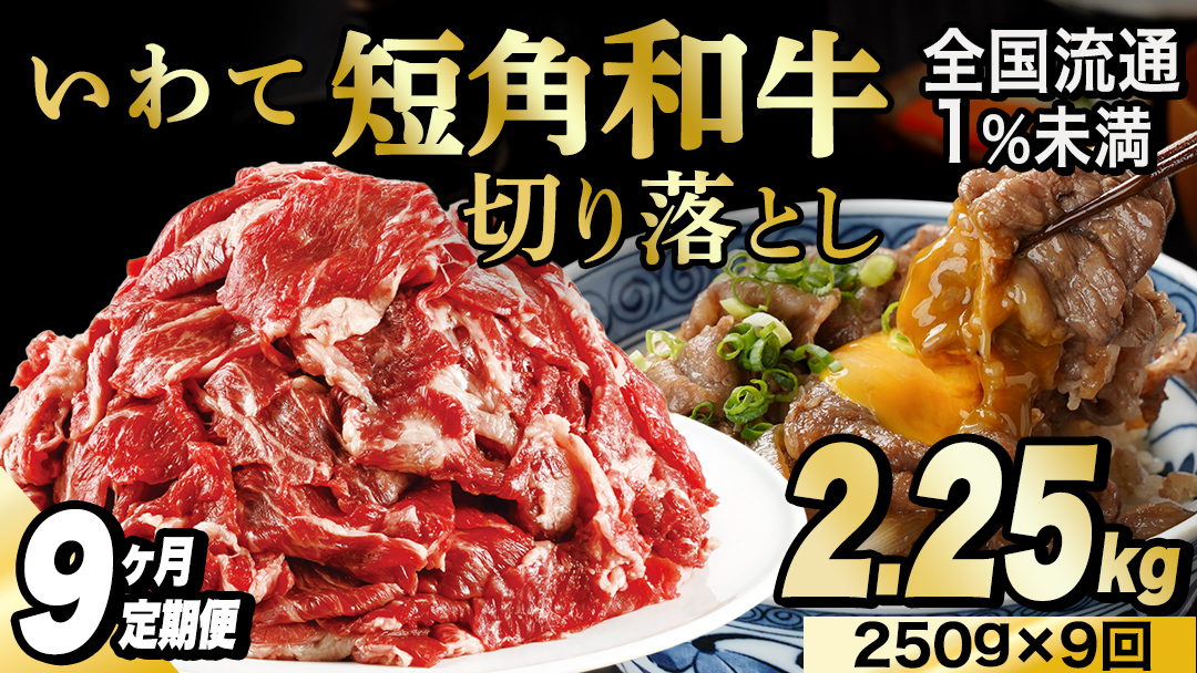 ＼9ヶ月連続 定期便／ 切り落とし 赤身 肉 牛肉 いわて 短角和牛 250g (総計 2.25kg) 小分けパック 真空冷凍 | 牛肉 肉 赤身 短角 和牛 国産牛 ブランド牛 切り落し 大容量 牛丼 肉じゃが 煮込み 煮物 小分け 数量限定 和牛 牛肉 小分け 赤身 時短 いわて牛 グルメ 冷凍 カレー 肉炒め おかず 食品 こま切れ にく 焼肉 焼き肉 野菜炒め すき焼き (AB113) 9回 9回