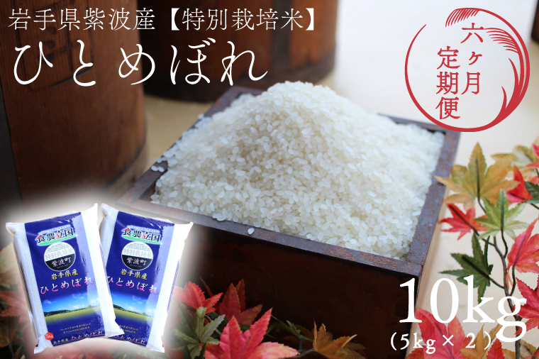 【 新米 】【6回定期便】お米 10kg (5kg×2) ( 総計60kg ) 白米 ひとめぼれ 特別栽培米 ★令和8年産★ 精米 米 おこめ ご飯 令和8年 特別栽培 仕送り お弁当  5キロ 10キロ 定期便 定期 コメ 岩手県 紫波町産 [AD084] 【令和8年産】 6回定期便