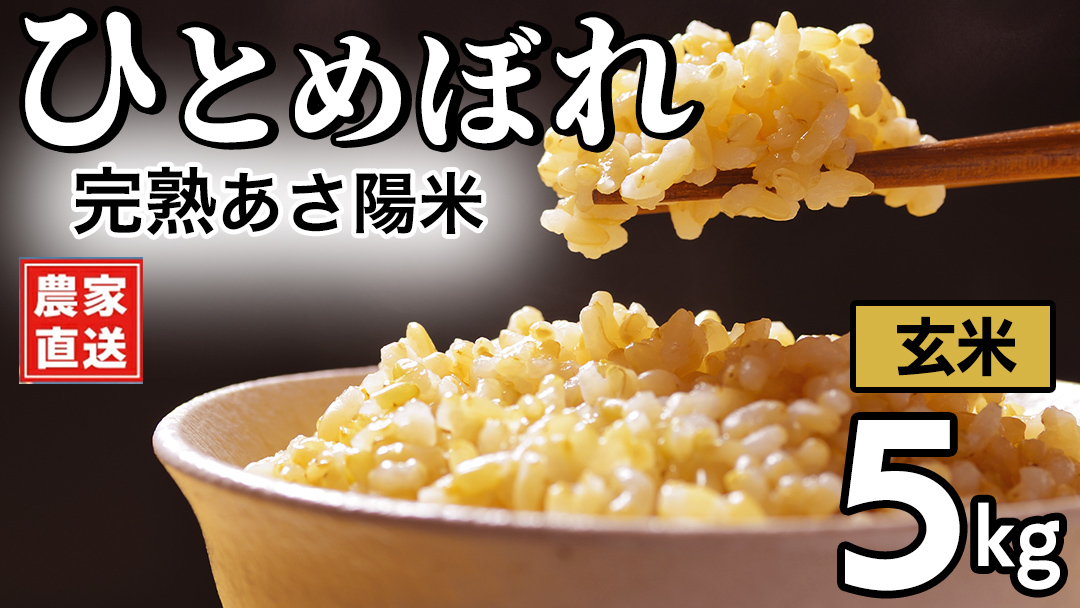 【 新米 】 完熟あさ陽米 (玄米) 5kg ひとめぼれ 特別栽培米 令和8年産 生産農家直送  米 産地直送 こめ 玄米 ご飯 あさ陽米 岩手県 特別栽培 農家直送 事業者応援 生産者支援 日常使い (CP031) 5kg