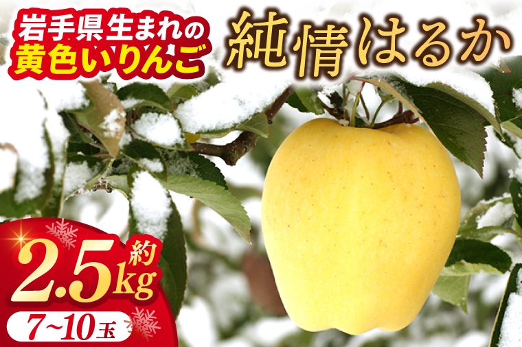 りんご はるか 「純情はるか」約2.5kg 糖度14度以上【先行予約 12月発送予定】数量限定 岩手県産 りんご リンゴ 林檎 はるか フルーツ くだもの 果物 訳あり 自家用 家庭用 【冬恋研究会】 (AI024)