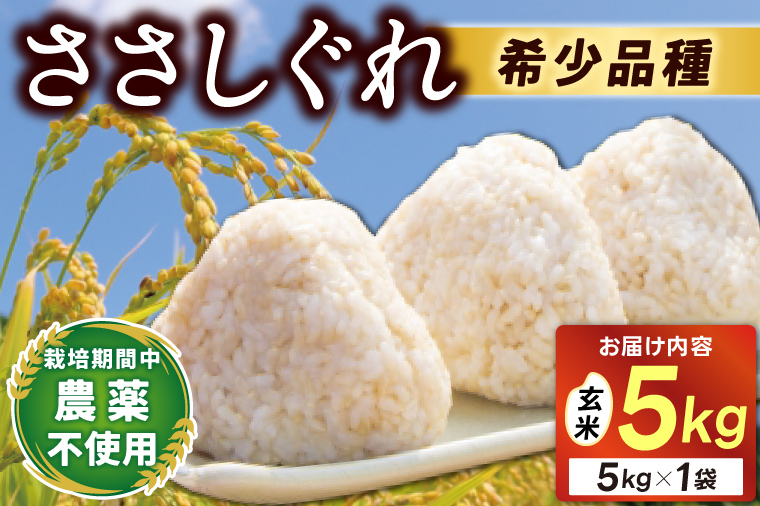 ★令和7年産★ 新米 ささしぐれ 5kg (玄米) (DE008)