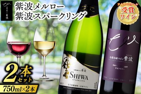 ＼贈り物・ギフトに最適／ 紫波町産 ワインぶどう 100% テロワール 「ワインコンクール受賞ワイン２本セット」 (AL071)