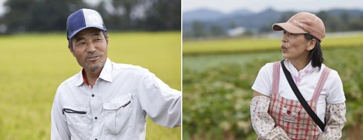 令和7年産　岩手県矢巾町　ひとめぼれ精米10kg