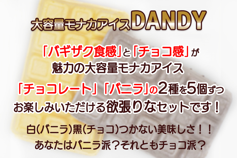 フタバ食品　アイス10個　ダンディーチョコレート＆バニラセット　2種類各5個