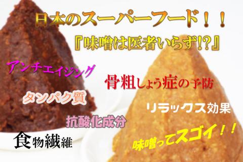 【ANA限定】3ちゃん矢次の米みそ　丸ごと味噌とご飯のお供　計3点セット