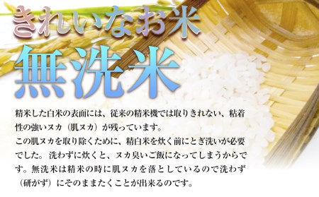 令和7年産　純情米いわて　無洗米　岩手県産　ひとめぼれ　5kg