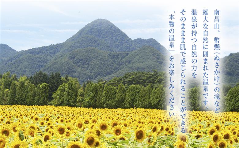 矢巾温泉『南昌の湯』入浴回数券(10回分)×3冊セット