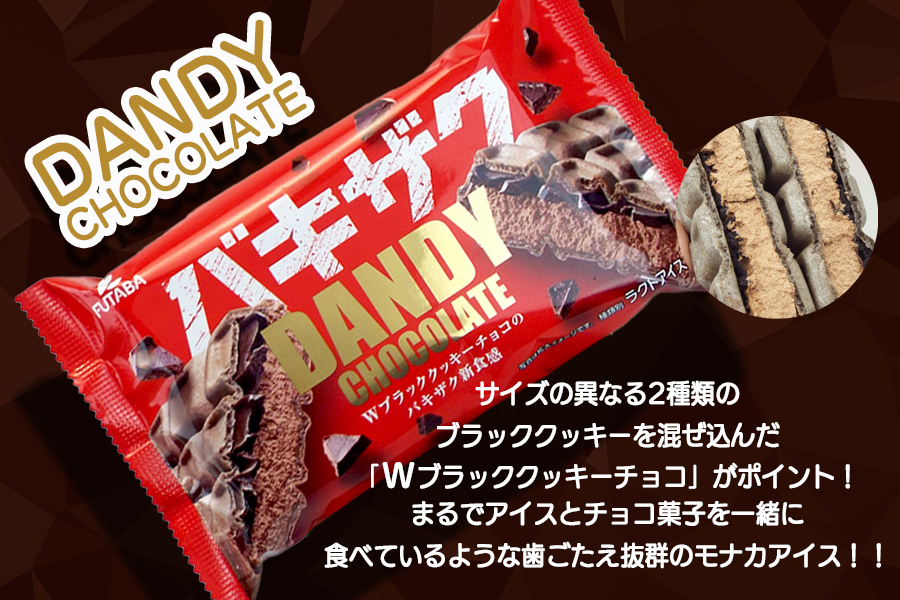 フタバ食品　アイス10個　ダンディーチョコレート＆バニラセット　2種類各5個