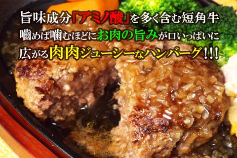 短角牛ハンバーグ　ビーフ100％！　150ｇ×6個