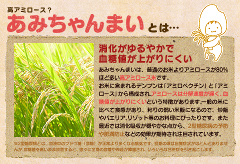 グルテンフリー！米粉で作ったもっちりシフォンケーキ　ココア味（4～6人分）