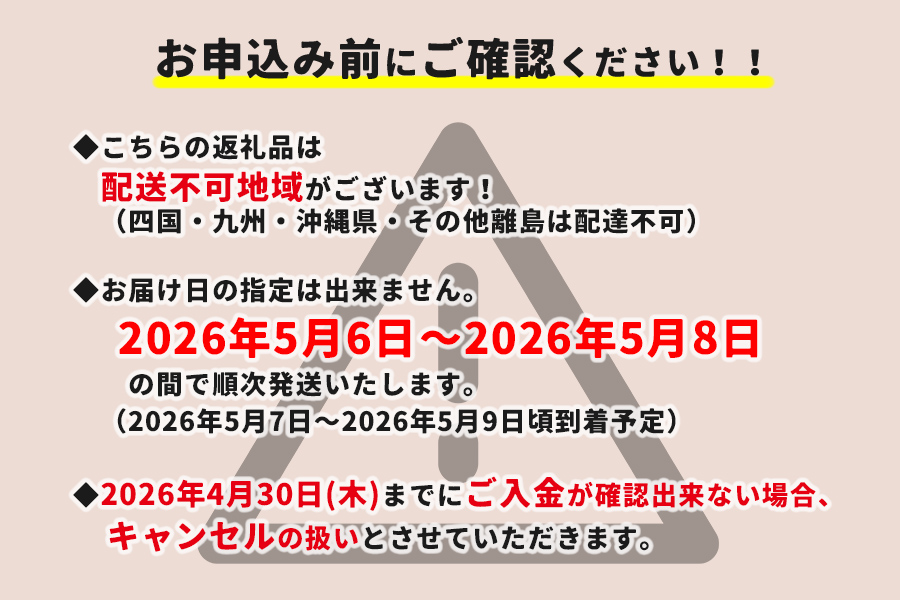 【母の日】そのまま飾れる　スタンディングブーケ