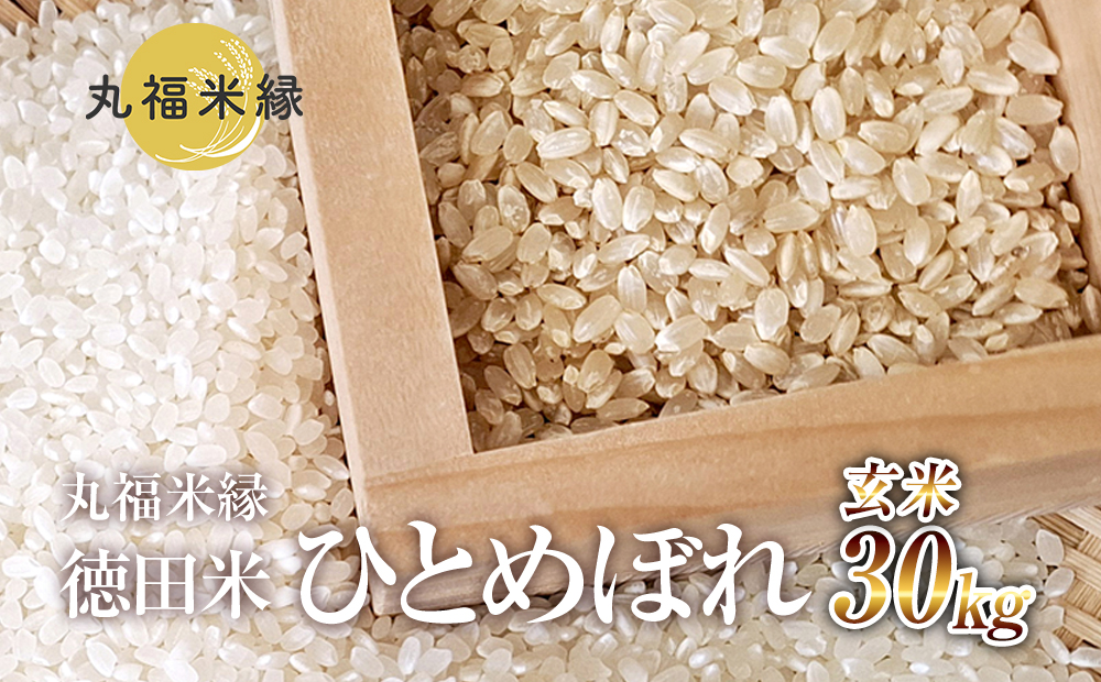 令和7年産　一口食べれば、もうひとめぼれ　徳田米　ひとめぼれ玄米　30kg