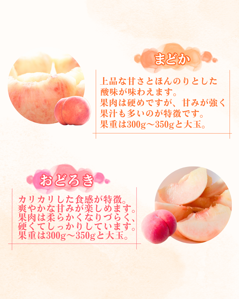 平泉町産 桃 約2.5kg (7～10玉) おどろき / 桃 もも モモ 白桃 フルーツ 甘い 大文字りんご園 2026年8月上旬より順次発送【dma501-od】