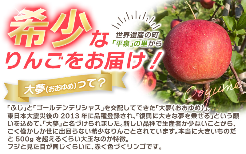 ≪11月末までの受付≫〈超大玉！〉大文字りんご　大夢（おおゆめ） 約5kg (10～12玉) 【2025年11月30日までの受付】/ りんご リンゴ 林檎 果物 くだもの フルーツ 甘い 旬 産地直送 予約 先行予約 りんご リンゴ りんご リンゴ りんご リンゴ りんご リンゴ りんご リンゴ りんご リンゴ 【dma513-l-oy-big】