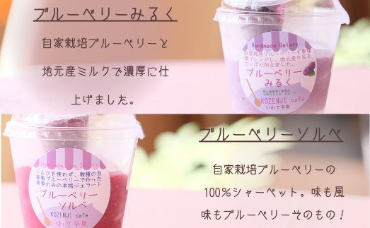 ブルーベリー農家のジェラート 6個パック（自家製ミニソース付き）/ ジェラート シャーベット アイス アイスクリーム デザート スイーツ スウィーツ カップアイス KOZENJIcaf?【kzj105-set-6A】