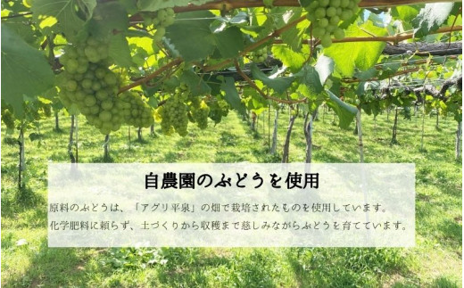 平泉ワイン　Ora　<<オラ>>　シャルドネ　750mL　お酒 酒 アルコール 白ワイン 白 国産 ２０２４年産 宅飲み ギフト 岩手県 平泉町 【mih-wine-001】
