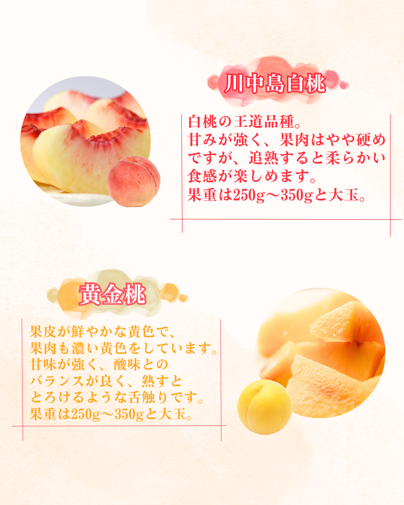 平泉町産 桃 約2.5kg (7～10玉) まどか / 桃 もも モモ 白桃 フルーツ 甘い 大文字りんご園 2026年8月上旬より順次発送【dma501-ma】