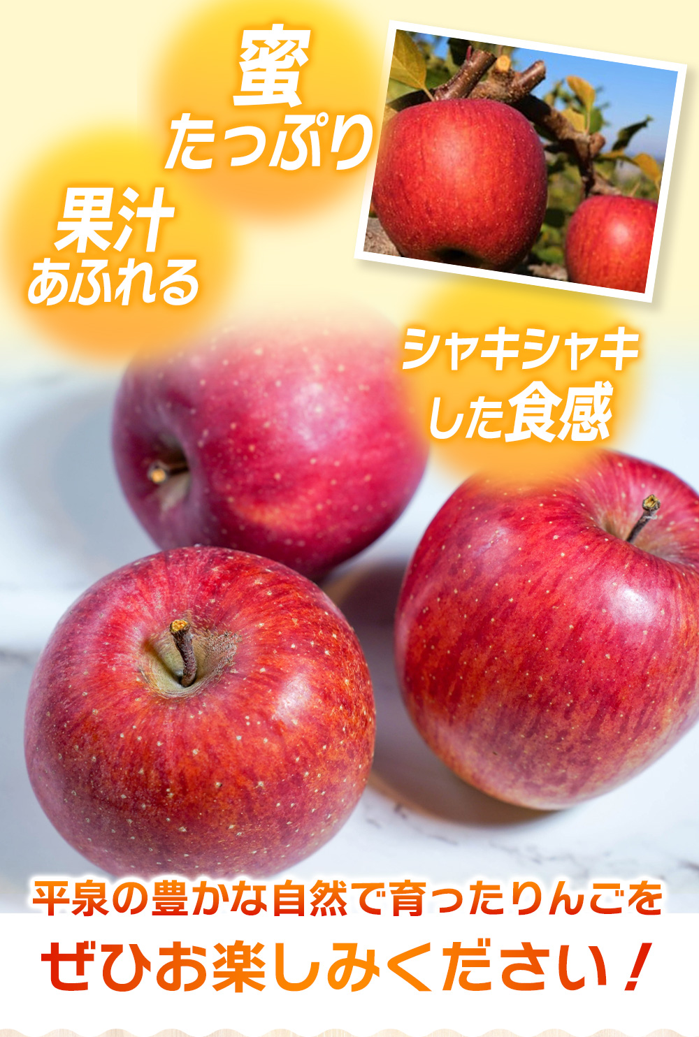 人気No.1！≪無くなり次第終了≫【2026年1月上旬～順次発送】大文字りんご園 サンふじ 小玉サイズ 約5kg (約18~20玉) / 樹上完熟 りんご リンゴ 林檎 果物 くだもの フルーツ 甘い 旬 産地直送 予約 先行予約 りんご リンゴ  りんご リンゴ  りんご リンゴ  りんご リンゴ  りんご リンゴ  りんご リンゴ  りんご リンゴ  りんご リンゴ  りんご リンゴ  りんご リンゴ 【dma513-sf-5E】