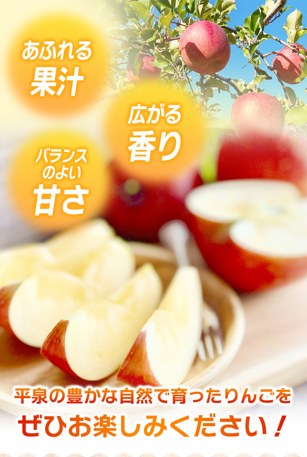 【2025年10月下旬頃より順次発送】大文字りんご園 サン北斗 約3kg (7～10玉) / 樹上完熟 りんご リンゴ 林檎 果物 くだもの フルーツ 甘い 旬 産地直送【dma513-sh-3D】