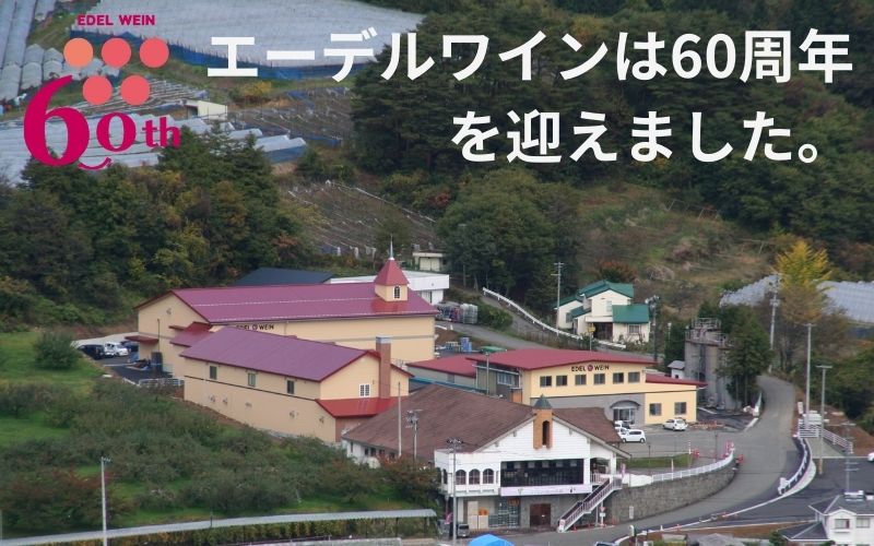 平泉にごり林檎ワイン　２本セット　【牛若丸・源義経ラベル】【edw701-app-500x2】