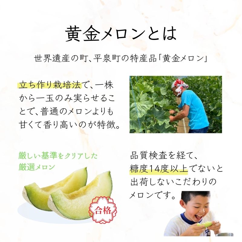 【令和8年度分予約受付】平泉黄金メロン 2玉 Lサイズ 合計約3kg 【2026年8月下旬以降より発送】/  メロン マスクメロン 果物 くだもの フルーツ 甘い 旬 産地直送 予約 先行予約 【omk002-A】