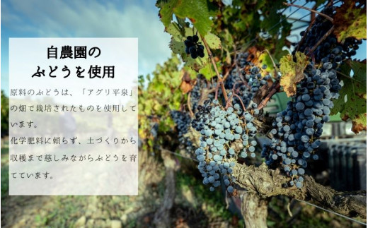 平泉ワイン　Ora　<<オラ>>　3種ハーフセット　375mL　3本セット　お酒 酒 アルコール 白ワイン 赤ワイン 白 赤 国産 宅飲み 飲み比べ ギフト 岩手県 平泉町 【mih-wine-004】